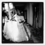 Hacienda Bride
