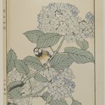 [Untitled] (Bird with Hydrangea)