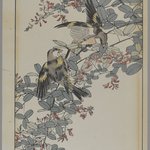 [Untitled] (Two Birds with Pink Flowers)