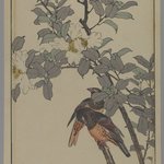 [Untitled] (Two Birds with White Flowers)