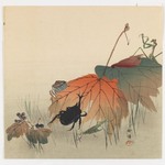 Insects and Autumn Leaves