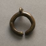 Ring with Small Chameleon