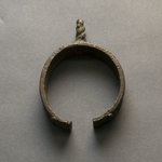 Bracelet with Plant Forms
