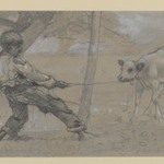 Study for "The Unruly Calf"