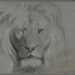 Head of Lion