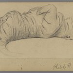 Sleeping Tiger