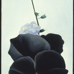 Black Pansy & Forget-Me-Nots (Pansy)