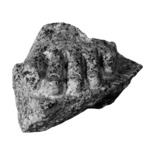 Fragment of the Left Foot of a Royal Statue