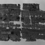 Papyrus Fragments Inscribed in Demotic