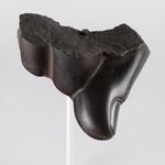 Fragment of a Hand From a Colossal Statue