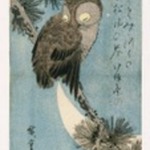 Owl on a Pine Branch