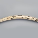 Walrus Tusk Ivory engraved with pictures of everyday activities