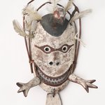Mask of a Valley Ptarmigan