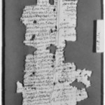 Papyrus Fragments Inscribed in Demotic or Greek