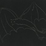 Night Series: The Bat