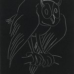 Night Series: The Owl