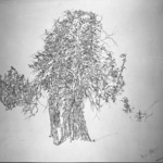 Study for a Tree