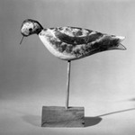 Decoy - Shore Bird (Dowitcher)