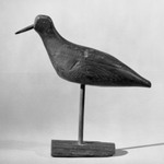 Decoy - Shore Bird (Plover)
