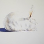 Rabbit from Seven Still Lifes and a Rabbit