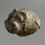 Head from a Statue of a Lion
