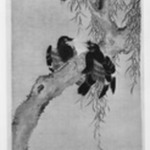 Three Myna Birds in a Willow Tree