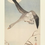 Goose in Flight with Moon