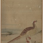 Chinese Pheasant, Album Leaf Painting