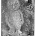 [Untitled] (Owl)