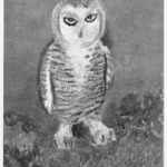 [Untitled] (Owl)