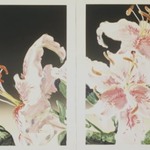 Rubrum Lily Diptych