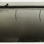[Untitled] (Barbed Wire Fence, Florida)