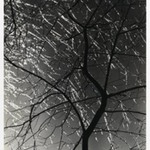 [Untitled] (Ice Storm)