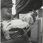 Man with Rooster, New York