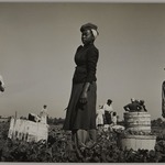 Florida Farm Workers