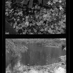 [Untitled]