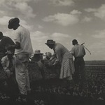 [Untitled] (Workers in Tennessee)