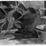 Plant, Bowl, Mirror