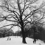 Winter ’83 (Prospect Park)