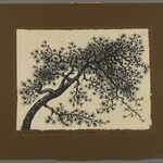 Untitled (Branch of Tree)