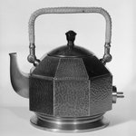 Electric Tea and Hot - Water Kettle with Lid