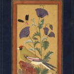 Finch, Poppies, Dragonfly, and Bee