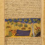 "Job Lying Under a Tree," Page from an Illustrated Manuscript of the Majma` al-tavarikh (Collection of Chronicles) of Hafiz Abru (d. 1430)