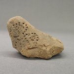 Unfired Cone-shaped Sacrifice Fragment with Indented Bottom