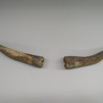 Pair of Horns Worn by Shalako