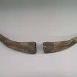 Pair of Horns Worn by Shalako