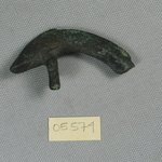 Incomplete Figure of an Oxyrhynchus Fish