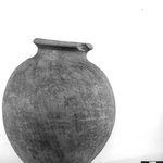 Globular - Ovoid Shaped Vase