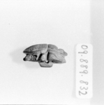 Scarab