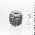 Ovoid Shaped Scarab